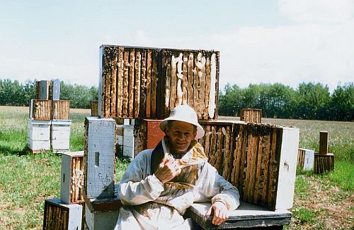 Pszczelarz podczas pracy