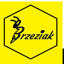 Czesław Brzeziak – technik pszczelarz