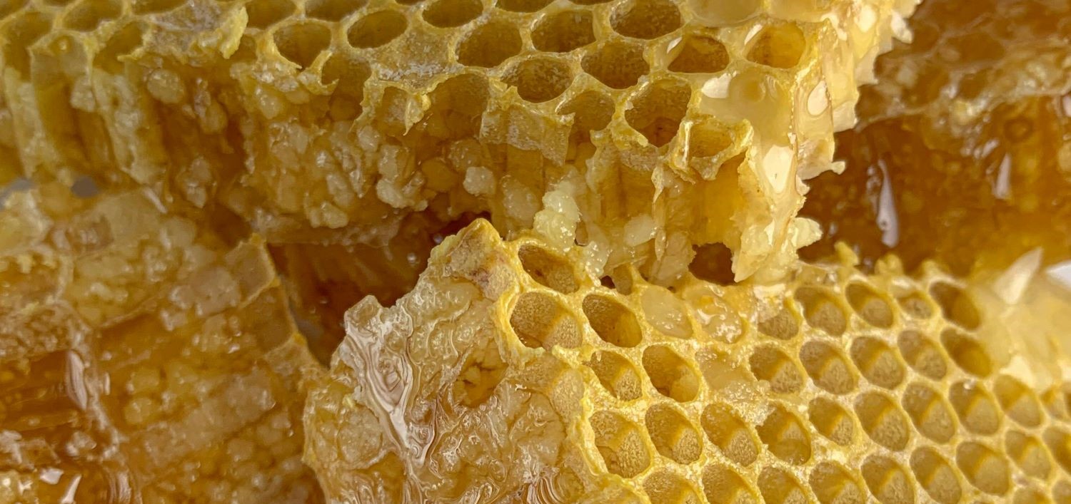 PASIEKA - BRZEŹNICA 30 k/RADŁOWA 